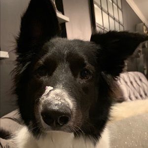 Meet your Posher, Amy